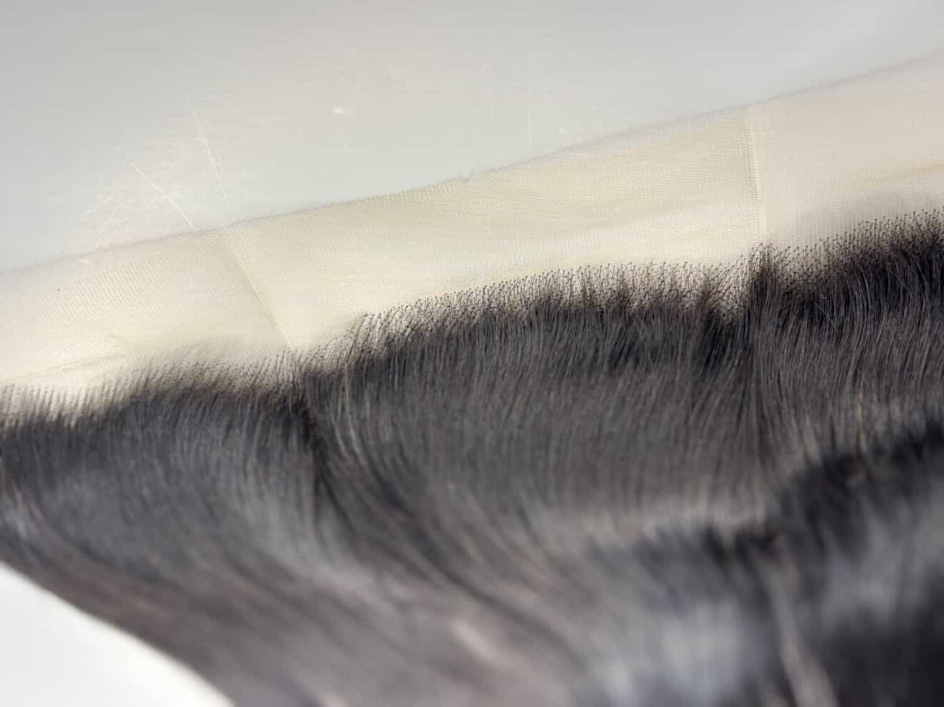 VIRGIN 13x4 HD Frontals